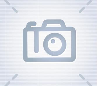 Основной род деятельности компании